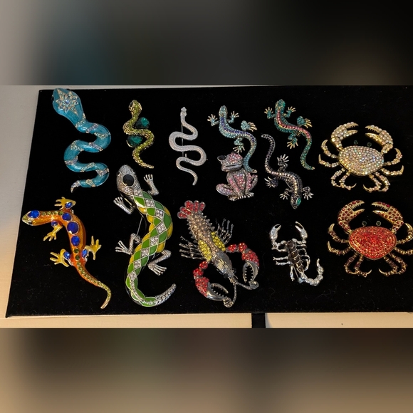 Colorful Brooch Collection - Picture 3 of 14